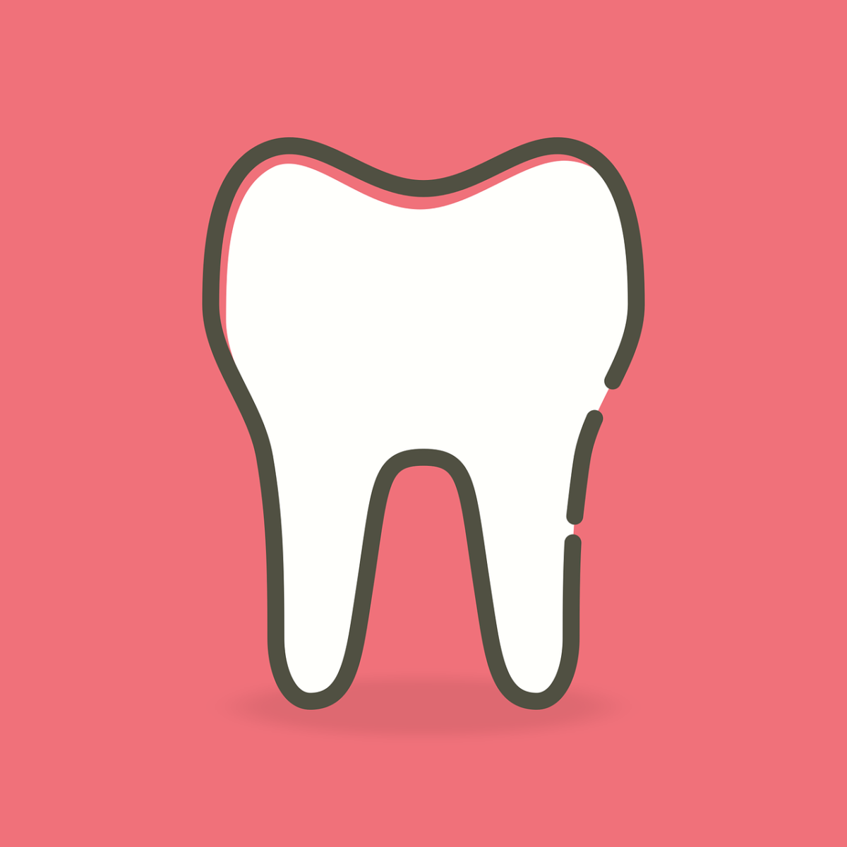 Prześliczne zdrowe zęby również powalający cudny uśmieszek to powód do zadowolenia.
